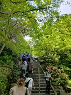 長谷寺の{uncategorized: "未分類", other: "その他", undefined: "問題あり", building: "その他建物", grave: "お墓", sacred_gate: "鳥居", guardian: "狛犬", statue: "像", buddha: "仏像", history: "歴史", nature: "自然", garden: "庭園", animal: "動物", pagoda: "塔", temizu: "手水舎", mountain_gate: "山門・神門", sanctuary: "本殿・本堂", subordinate: "末社・摂社", art: "芸術", scenery: "景色", jizo: "地蔵", ema: "絵馬", goshuin: "御朱印", omikuji: "おみくじ", items: "授与品その他", amulet: "お守り", goshuincho: "御朱印帳", eats: "食事", festival: "お祭り", votive_dance: "神楽", shichigosan: "七五三参", wedding: "結婚式", experience: "体験その他", initially: "初詣", around: "周辺", anti_infection: "感染症対策"}
