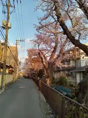 泰心院(宮城県)