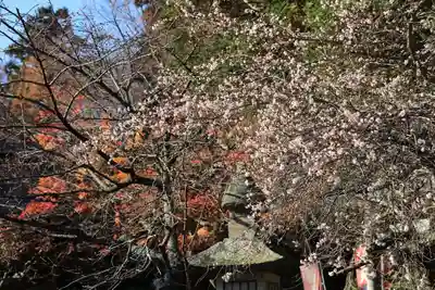 鹿島大神宮のその他建物