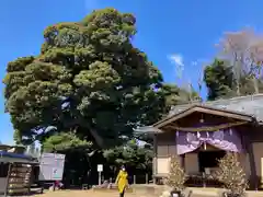 九重神社の建物その他