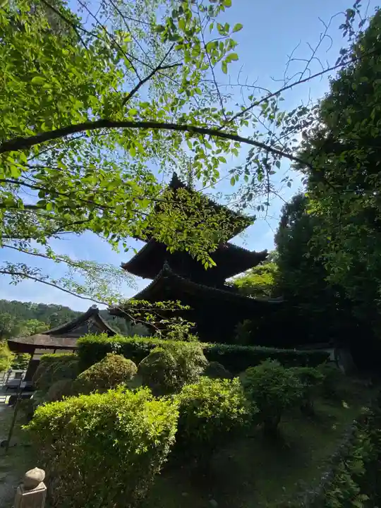 園城寺(三井寺)(滋賀県)