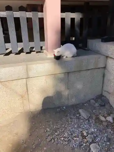 今戸神社の動物