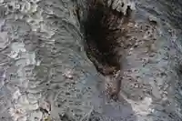 愛宕神社の自然