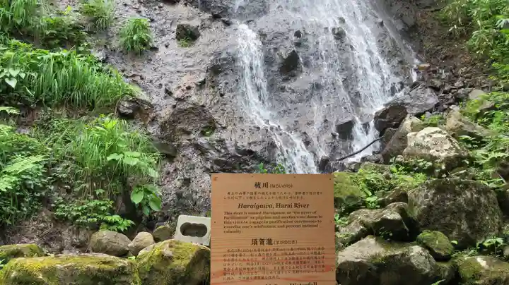 出羽神社(出羽三山神社)~三神合祭殿~の自然