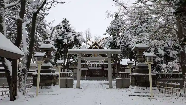 新琴似神社(北海道)