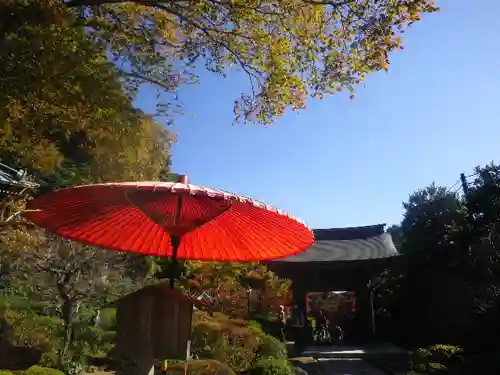 海蔵寺の山門