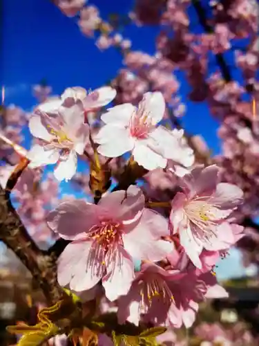 福蔵院(東京都)