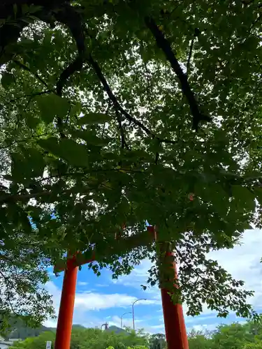 子檀嶺神社の鳥居