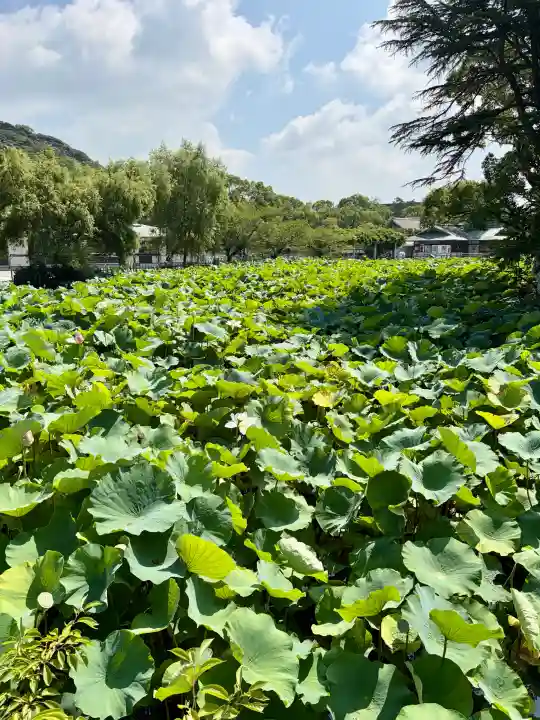 旗上弁財天社(神奈川県)