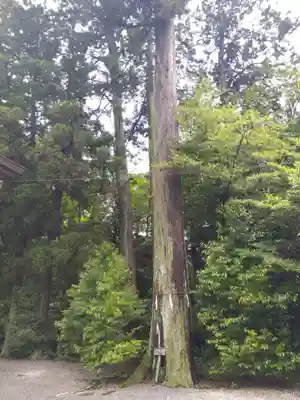八所神社(滋賀県)