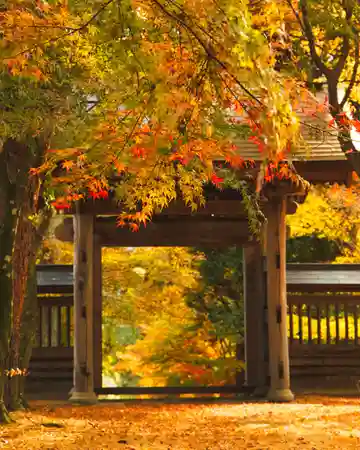 泉龍寺(群馬県)