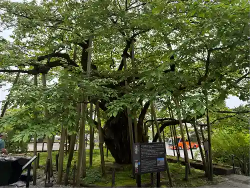 輪王寺(栃木県)