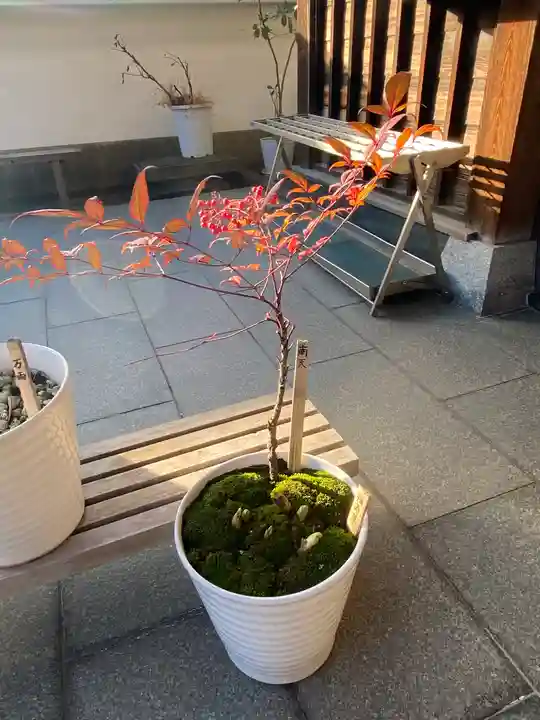 妙蓮寺(神奈川県)