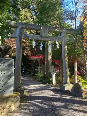五所駒瀧神社(茨城県)