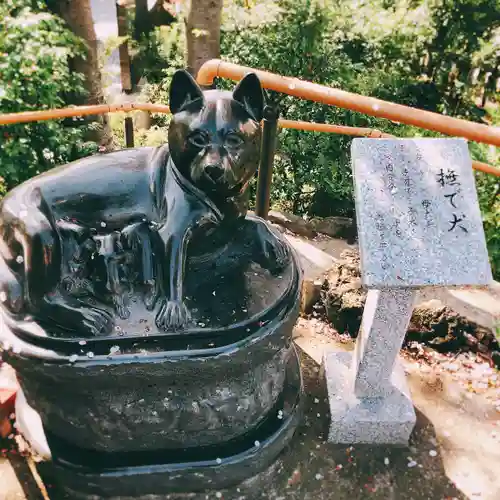 鎮守氷川神社の狛犬