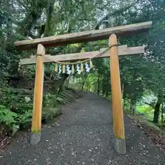 井頭神社(奈良県)