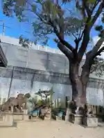 八劔神社の狛犬