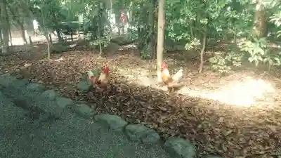 熱田神宮(愛知県)