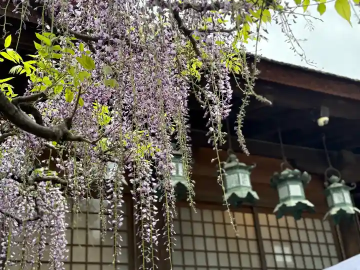 春日大社の{uncategorized: "未分類", other: "その他", undefined: "問題あり", building: "その他建物", grave: "お墓", sacred_gate: "鳥居", guardian: "狛犬", statue: "像", buddha: "仏像", history: "歴史", nature: "自然", garden: "庭園", animal: "動物", pagoda: "塔", temizu: "手水舎", mountain_gate: "山門・神門", sanctuary: "本殿・本堂", subordinate: "末社・摂社", art: "芸術", scenery: "景色", jizo: "地蔵", ema: "絵馬", goshuin: "御朱印", omikuji: "おみくじ", items: "授与品その他", amulet: "お守り", goshuincho: "御朱印帳", eats: "食事", festival: "お祭り", votive_dance: "神楽", shichigosan: "七五三参", wedding: "結婚式", experience: "体験その他", initially: "初詣", around: "周辺", anti_infection: "感染症対策"}