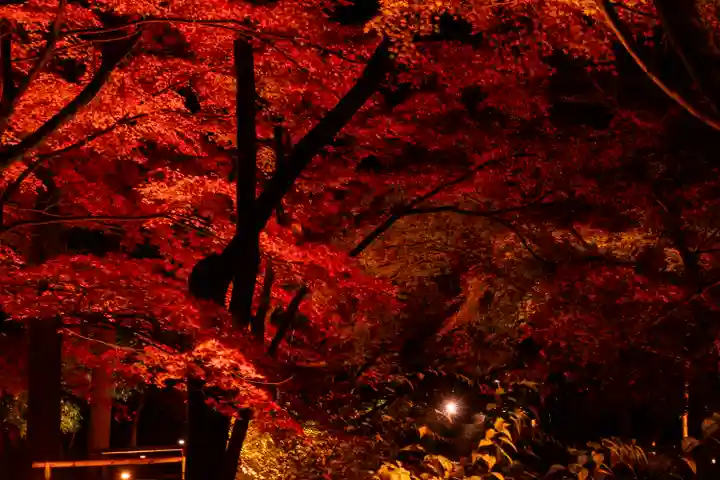 北野天満宮(京都府)