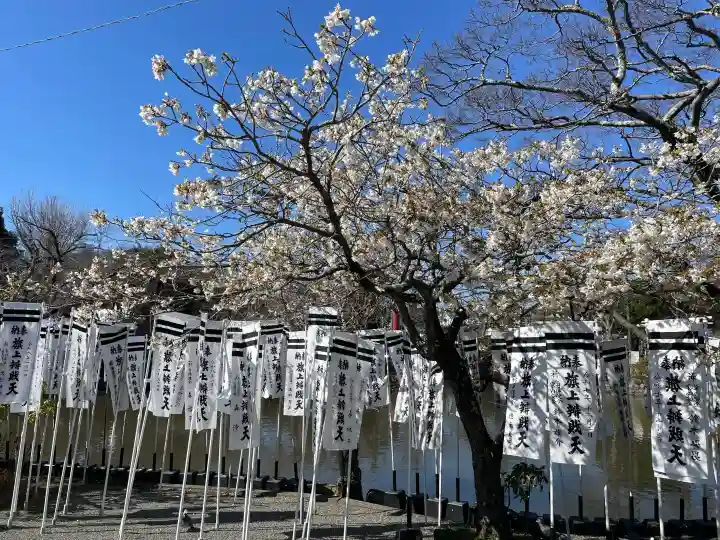 旗上弁財天社の{uncategorized: "未分類", other: "その他", undefined: "問題あり", building: "その他建物", grave: "お墓", sacred_gate: "鳥居", guardian: "狛犬", statue: "像", buddha: "仏像", history: "歴史", nature: "自然", garden: "庭園", animal: "動物", pagoda: "塔", temizu: "手水舎", mountain_gate: "山門・神門", sanctuary: "本殿・本堂", subordinate: "末社・摂社", art: "芸術", scenery: "景色", jizo: "地蔵", ema: "絵馬", goshuin: "御朱印", omikuji: "おみくじ", items: "授与品その他", amulet: "お守り", goshuincho: "御朱印帳", eats: "食事", festival: "お祭り", votive_dance: "神楽", shichigosan: "七五三参", wedding: "結婚式", experience: "体験その他", initially: "初詣", around: "周辺", anti_infection: "感染症対策"}