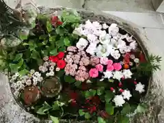 立志神社の手水