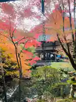 禅林寺(永観堂)(京都府)