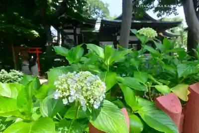 川越八幡宮(埼玉県)