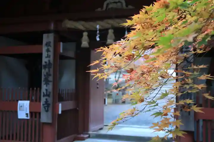 神峯山寺の山門・神門