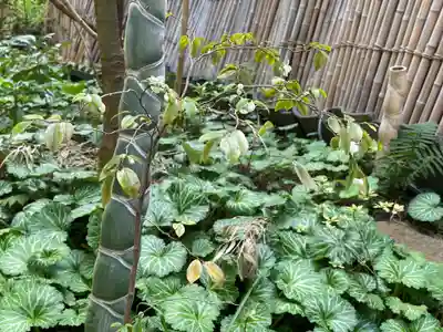 遠照山 光明寺（尼崎大仏）(兵庫県)