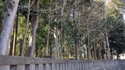 秩父神社の自然