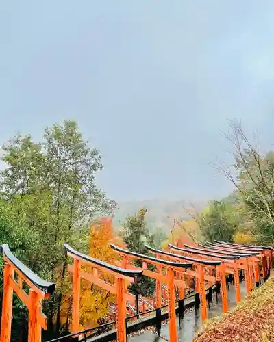 願昭寺の鳥居