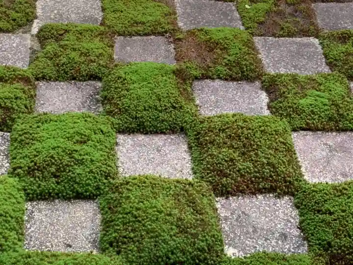 東福禅寺(東福寺)の庭園