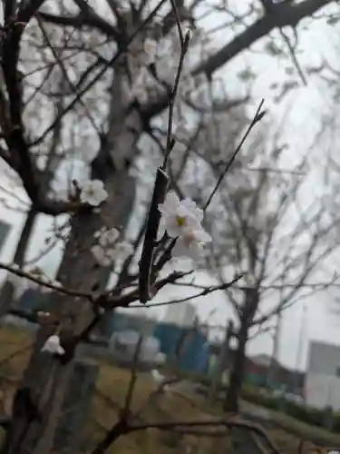 相模原氷川神社(神奈川県)