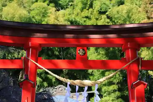 小川諏訪神社の鳥居