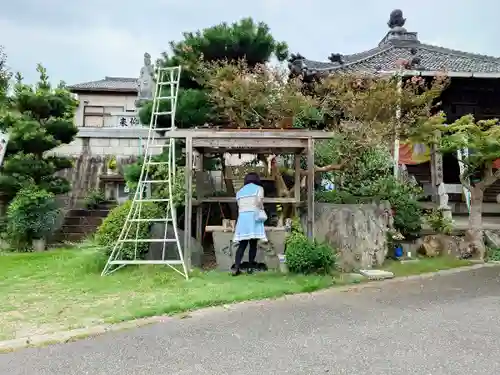 極楽寺の手水