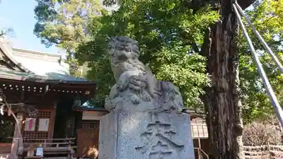 八雲氷川神社の狛犬