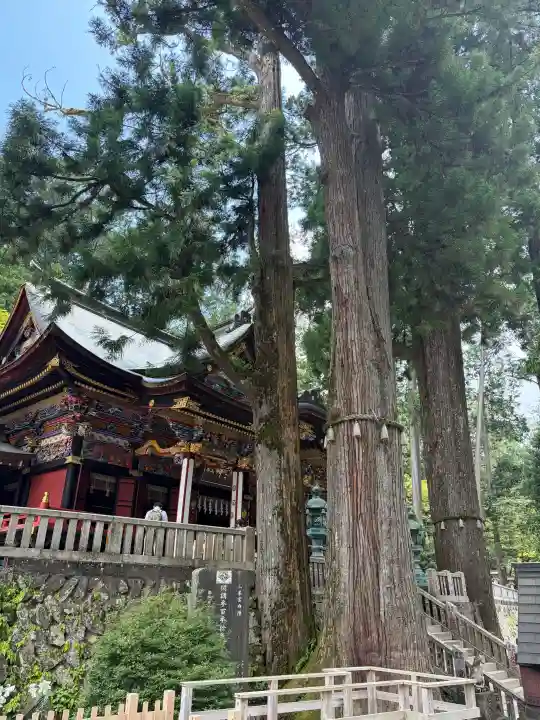 三峯神社(埼玉県)