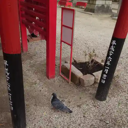 菅生神社の動物