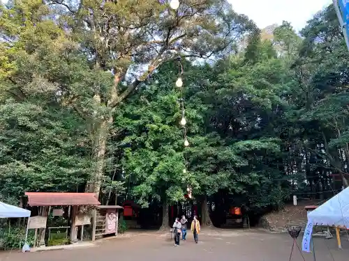 霧島岑神社(宮崎県)