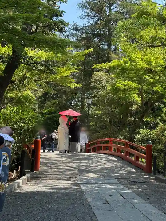 鶴岡八幡宮の結婚式