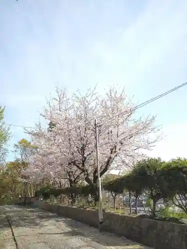 阿智神社の自然