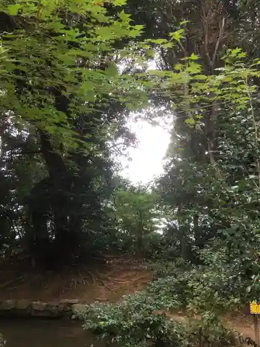 旦飯野神社の周辺
