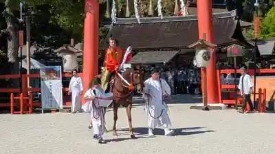 賀茂別雷神社（上賀茂神社）(京都府)