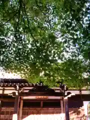 大正寺(東京都)