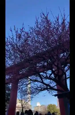 亀戸天神社の{uncategorized: "未分類", other: "その他", undefined: "問題あり", building: "その他建物", grave: "お墓", sacred_gate: "鳥居", guardian: "狛犬", statue: "像", buddha: "仏像", history: "歴史", nature: "自然", garden: "庭園", animal: "動物", pagoda: "塔", temizu: "手水舎", mountain_gate: "山門・神門", sanctuary: "本殿・本堂", subordinate: "末社・摂社", art: "芸術", scenery: "景色", jizo: "地蔵", ema: "絵馬", goshuin: "御朱印", omikuji: "おみくじ", items: "授与品その他", amulet: "お守り", goshuincho: "御朱印帳", eats: "食事", festival: "お祭り", votive_dance: "神楽", shichigosan: "七五三参", wedding: "結婚式", experience: "体験その他", initially: "初詣", around: "周辺", anti_infection: "感染症対策"}