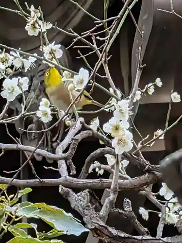 繁榮稲荷神社(東京都)