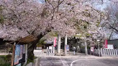 富部神社(愛知県)