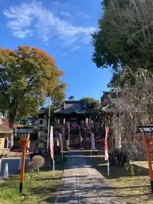 諏訪神社(群馬県)