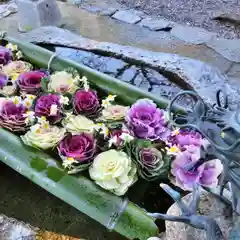 立志神社の手水